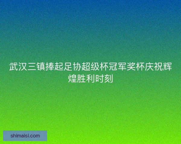 武汉三镇捧起足协超级杯冠军奖杯庆祝辉煌胜利时刻