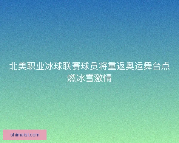 北美职业冰球联赛球员将重返奥运舞台点燃冰雪激情 北美职业冰球联赛球员将重返奥运舞台点燃冰雪激情